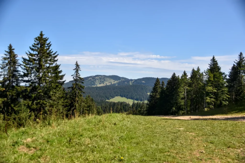 Le Haut-Jura, terre de forêts couvrant 70% du Parc naturel régional du Haut-Jura