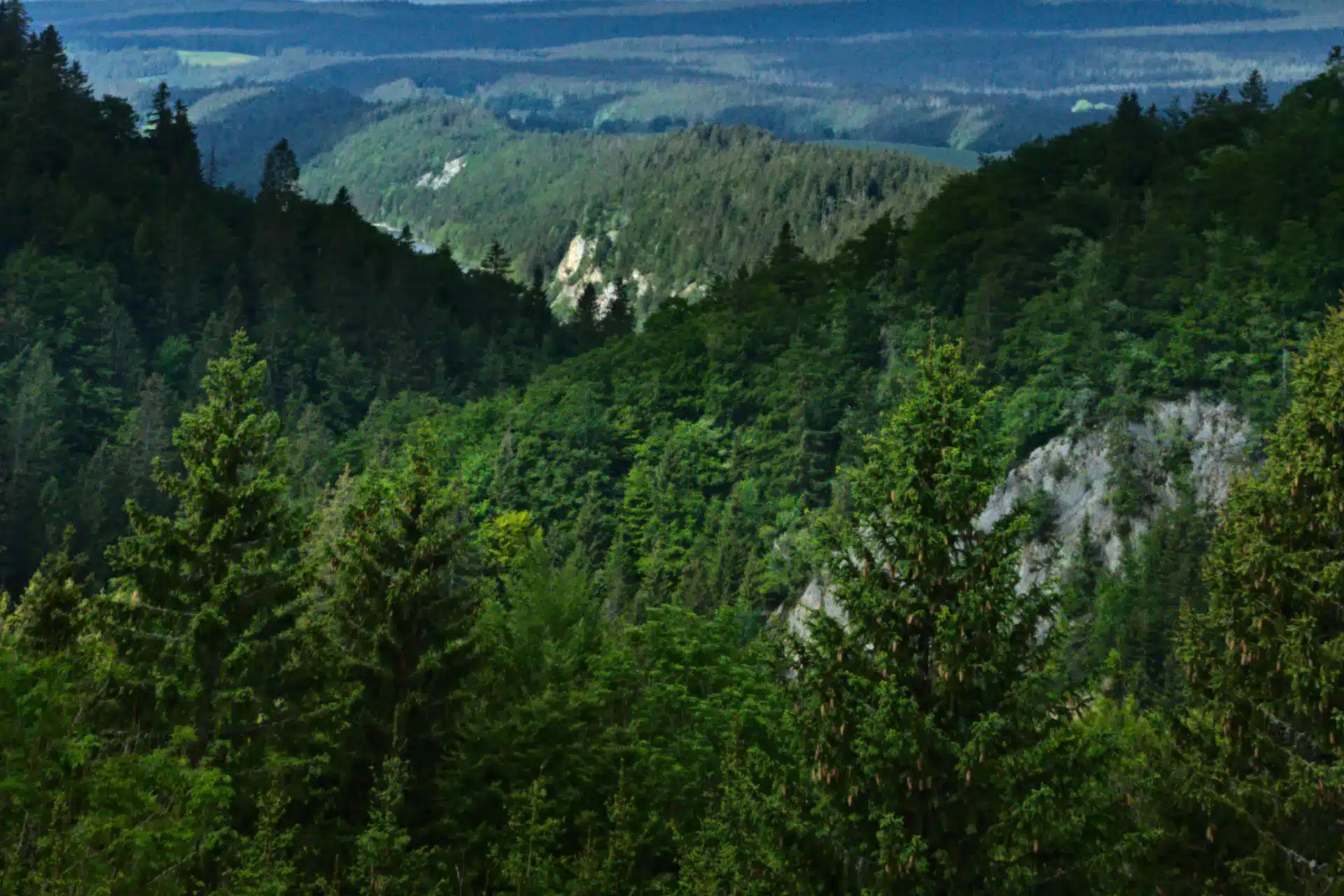 Petite Montagne Jura : 300 km randonnées cascades grottes lac Viremont